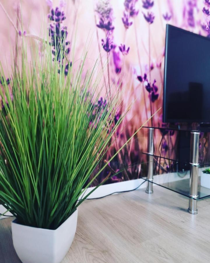 Ferienwohnung Lavanda Rust Exteriör bild
